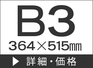 B3(364515mm)